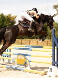 DSC01777 DSC01777
