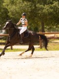 DSC01779 DSC01779