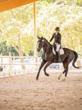 IMG_9163 IMG_9163
