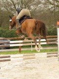 DSC03376 DSC03376