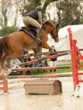 DSC03384 DSC03384