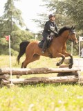 24_00484 24_00484