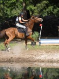 IMG_7625
