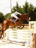 DSC01708