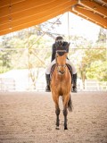 IMG_9226