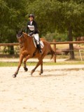 DSC03959 DSC03959