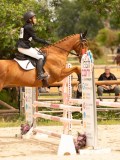 DSC03966 DSC03966