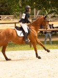 DSC03968 DSC03968