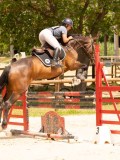 DSC01843 DSC01843