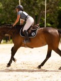 DSC01858 DSC01858