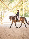 IMG_9265