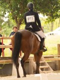DSC03259 DSC03259