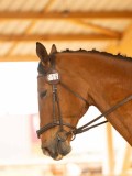 DSC03300 DSC03300