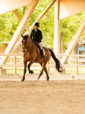 DSC03317 DSC03317