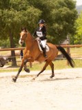 DSC04443 DSC04443