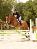 DSC04444 DSC04444