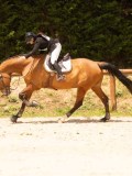 DSC04459 DSC04459