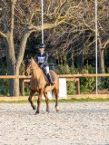 IMG_8472