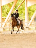 DSC03349 DSC03349