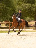 DSC04344 DSC04344