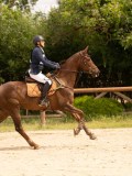 DSC03828 DSC03828