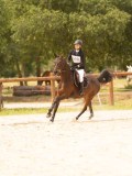 DSC04219 DSC04219