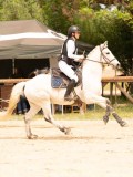 DSC04496 DSC04496