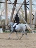 IMG_1124