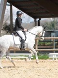 IMG_1175