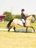 DSC00317 DSC00317