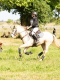 24_09500 24_09500
