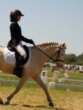 DSC00955 DSC00955