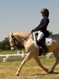 DSC00958 DSC00958