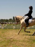 DSC00960 DSC00960