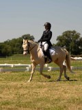 DSC00966 DSC00966