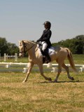 DSC00967 DSC00967