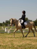 DSC00968 DSC00968