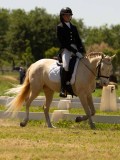 DSC00973 DSC00973
