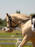 DSC00985 DSC00985