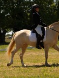 DSC00990 DSC00990