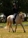 DSC00994 DSC00994