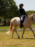 DSC00995 DSC00995