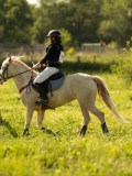 DSC01523 DSC01523