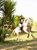 DSC02154 DSC02154