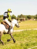 DSC01565 DSC01565