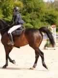 DSC09300 DSC09300