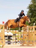 DSC04254 DSC04254
