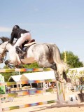 DSC04328 DSC04328