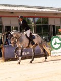 DSC04335 DSC04335
