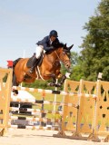 DSC04385 DSC04385